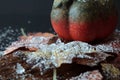 Autumnally decorated pumpkin with autumn foliage,snow and ice crystals