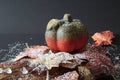 Autumnally Decorated Pumpkin With Autumn Foliage,snow And Ice Crystals
