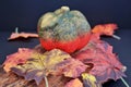 Autumnally Decorated Pumpkin With Autumn Foliage
