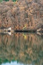 Autumnn foliage reflected in Britton Lake at McArthur Burney Falls Memorial State Park in California, USA