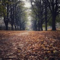 Autumnn trees with red and brown leaves