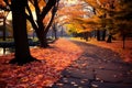 Autumns magic a park path, strewn with vivid maple leaves