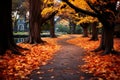 Autumns magic a park path, strewn with vivid maple leaves