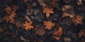 Nocturnal Autumn Beauty Textured Leaves on Dark