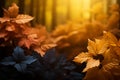 Autumns rich tapestry of colors creates a captivating fall foliage