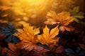 Autumns rich tapestry of colors creates a captivating fall foliage