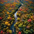 Autumns Splendor: A Vibrant National Park Aerial View