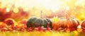 AutumnThanksgiving Day Background. Holiday Autumn Festival Concept. Harvest Royalty Free Stock Photo