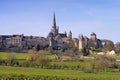 Autun in France, the cathedral Royalty Free Stock Photo