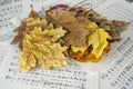Autunm leaves and music sheets