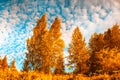 Autunm trees reflecting in the water