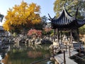 Autunm view over the rock and lake in the Lion Grove Garden in Suzhou, China Royalty Free Stock Photo