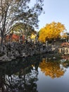 Autunm view over the rock and lake in the Lion Grove Garden in Suzhou, China Royalty Free Stock Photo