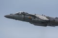 AV8B Harrier II Armada