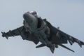 AV8B Harrier II Armada Royalty Free Stock Photo