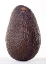 Avacado