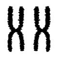 Human chromosomes icon Royalty Free Stock Photo