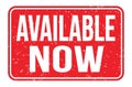 AVAILABLE NOW, words on red rectangle stamp sign Royalty Free Stock Photo