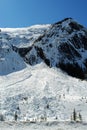 Avalanche area Royalty Free Stock Photo
