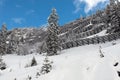 Avalanche Barriers