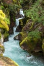 Avalanche creek canyon Royalty Free Stock Photo