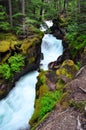 Avalanche Creek. Glacier National Park