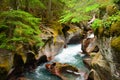 Avalanche Gorge Royalty Free Stock Photo