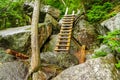 Avalanche Lake Trail in the High Peaks Wilderness Area of the Adirondack State Park in Upstate NY Royalty Free Stock Photo