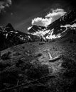 After an avalanche in Transylvanian alps