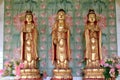 Avalokiteswara - Kuan Yin Statues