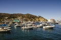 AVALON BAY CATALINA ISLAND Royalty Free Stock Photo