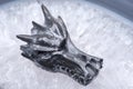 Avalon dragon skull on polished large natural agate slab from Brazil. Healing Crystal. Royalty Free Stock Photo