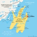 Avalon Peninsula, political map, a portion of island of Newfoundland