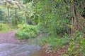 Avana stream Rarotonga Cook Islands Royalty Free Stock Photo