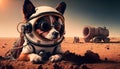 Avatar of a dog with retro pilot glasses in a virtual environment. Mars planet video game concept - Generative AI Royalty Free Stock Photo