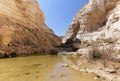 Avdat Canyon