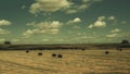 View at Avebury Henge and stone circle Royalty Free Stock Photo