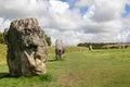 The Avebury UNESCO World Heritage Site Royalty Free Stock Photo