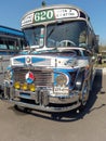 Mercedes Benz 911 bus, passenger transport in Buenos Aires. Nose. Traditional fileteado ornaments