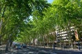 Avenida da Liberdade in Lisbon, Portugal