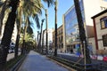 Avenida del Reino de Valencia during gardening and transplanting palm trees