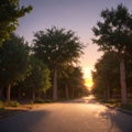 The avenue of the baobabs is beautiful at sunset. Royalty Free Stock Photo