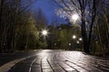 The avenue of city park at night