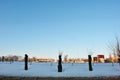 Avenue of cut trees and wires along road and city landscape on horizon, winter Royalty Free Stock Photo