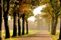 Avenue in fall Royalty Free Stock Photo