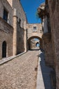 Morning light on the Avenue of the Knights