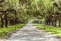 Avenue of Oaks at Boone Hall Plantation Royalty Free Stock Photo