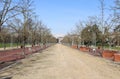 Avenue in the public park called CAMPO MARZO in Vicenza