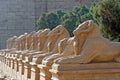 Avenue of the ram-headed Sphinxes in Karnak Temple - Luxor, Egypt