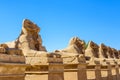 Avenue of the ram-headed Sphinxes in a Karnak Temple. Luxor, Egypt Royalty Free Stock Photo